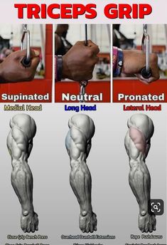 the poster shows how to build a tricep