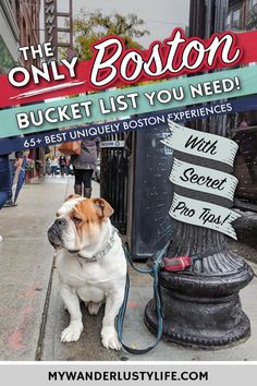 the only boston bucket list you need