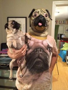 a man holding a pug in his arms and wearing a t - shirt that says look at the dog