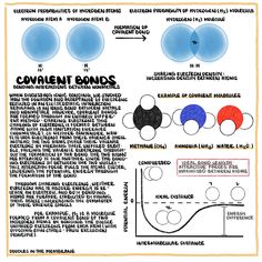 an info sheet describing the different types of covalentnt bonds and how they work