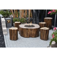 an outdoor fire pit surrounded by wooden stumps and potted plants in the background