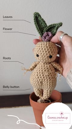 a crocheted teddy bear sitting on top of a flower pot with labeled parts