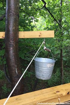 a bucket hanging from the side of a tree with a rope attached to it and some trees in the background