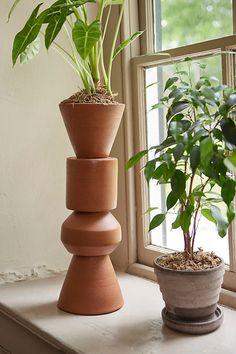 two potted plants sit on a window sill next to each other in front of a window