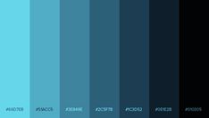 blue and black color swatches with the same hues in each section, from top to bottom