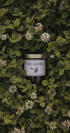 a jar of honey sitting in the middle of some leaves and flowers on top of a bush