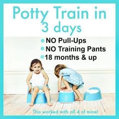 Potty training in three days (ages 18 months and up) Potty Training 101, Newborn Sleep Schedule, Kids Fever, Potty Time