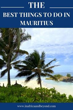 the best things to do in mauritus, with text overlaying it