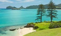 an island with trees on the shore and blue water