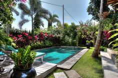 a pool surrounded by lush green plants and trees