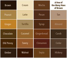 the colors of chocolate, caramel, cinnamon, and cocoa are shown in this color chart