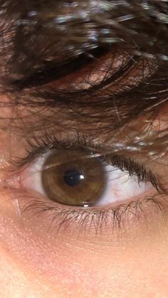 Brown Eyes Boy, Hazle Eyes, Profile Boy, Men Muscles, Brown Eyes Aesthetic, Brown Eye Boys, Pretty Brown Eyes, Eye Pictures, Cool Boy Image