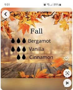 Fall Diffuser Blends, Essential Oils Herbs, Essential Oils Health, Essential Oil Diffuser Recipes