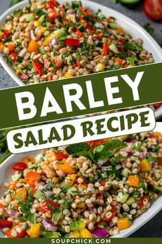 Barley Salad Recipe Hardy Healthy Dinners, Grain Based Salads, Barley Salads, Barley Bowl Recipe, Best Potluck Salads, Interesting Salad Recipes, Salad With Grains, Barley Side Dish Recipes, Dense Salad Recipes