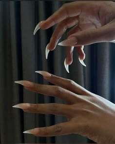 Cat Claw Acrylic Nails, Corpse Nails, Megan Thee Stallion Nails, Fang Nails, Long Sharp Nails, Siren Nails, Claw Nails Designs, Talon Nails, Vampire Nails