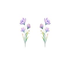 two purple flowers on a white background with green stems in the middle and one pink flower at the bottom