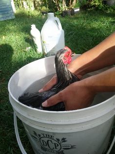 a person washing their feet in a bucket