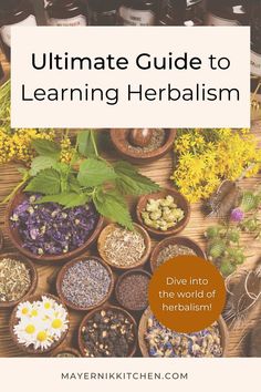 the ultimate guide to learning herbism