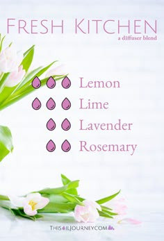 Kitchen Diffuser, Essential Oil Combinations, Doterra Essential Oils Recipes, Essential Oil Diffuser Blends Recipes, Essential Oil Remedy, Lavender Rosemary, Young Living Essential Oils Recipes, Essential Oils Guide, Fresh Kitchen