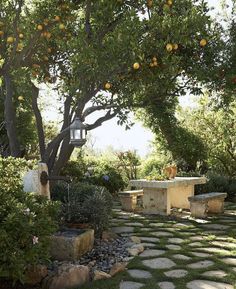 an orange tree in the middle of a garden with stone walkways and benches under it