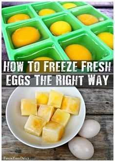 how to freeze fresh eggs the right way