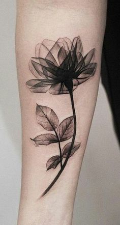 a black and white photo of a flower on the left arm with leaves around it