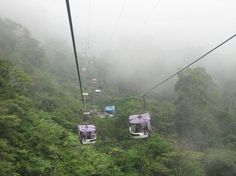 two gondolas in the middle of a forest filled with trees and bushes on a foggy day