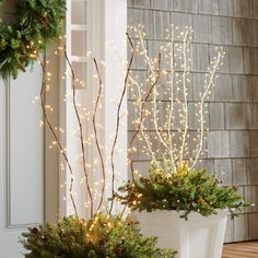 two potted plants with christmas lights on them sitting in front of a door way