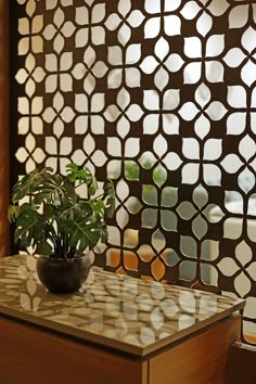 a potted plant sitting on top of a wooden table next to a wall covered in tiles