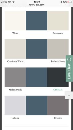 the color palette is shown in shades of gray, blue and white with an arrow pointing to