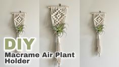 three macrame air plant holders hanging on the wall with text overlay that says diy