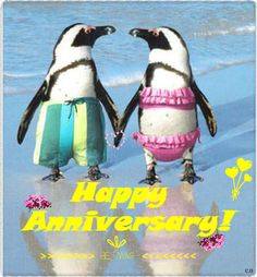 two penguins standing next to each other in front of the ocean with words perfectly suited happy anniversary