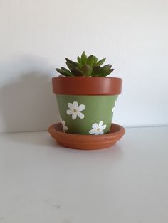 a potted plant sitting on top of a white table