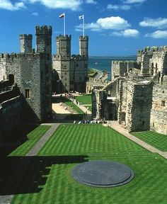 an aerial view of a castle with grass in the foreground