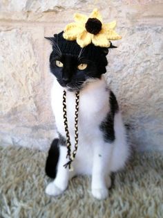 a black and white cat with a flower on its head sitting in front of a stone wall