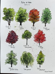 the different types of trees are drawn in watercolor and ink on paper, each with their own name