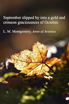 a leaf laying on the ground with a quote written in it that reads, september slipped by into a gold and crimson graciousness of october