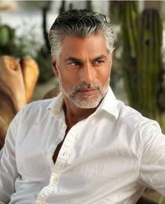 Silver Foxes Men Aging Gracefully, Silver Foxes Men, Middle Eastern Men, 50 Year Old Men, Greek Men, Spanish Men, Grey Hair Men, Latino Men, Hot Army Men