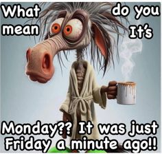 a cartoon cow holding a coffee cup with the caption what do you mean it's monday? it was just friday a minute ago