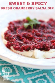 fresh cranberry salsa dip on a white plate