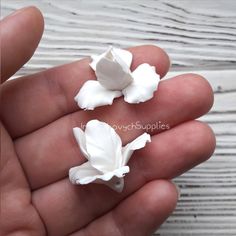 three white flowers are in the palm of someone's hand