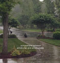 an elephant is walking down the street in the rain