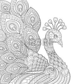 a coloring page with a peacock in black and white, it is very difficult to draw