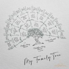 Family Tree Templates, Family Heirloom Display, Family Reunion Shirts Designs, Family Tree Book, Ecosystems Projects, Family Tree Art, Genealogy Chart, Family Tree Template, Sense Of Belonging