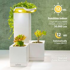 an advertisement for led growers with two plants in the same planter and one on the other side