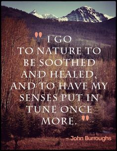 a quote that reads i go to nature to be soothed and healed, and to have my sense put in tune once more