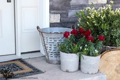 two buckets filled with flowers sitting on top of a wooden log next to a door