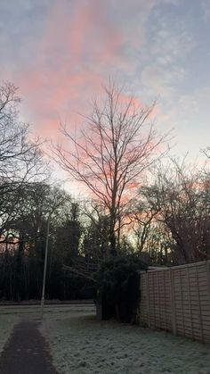 the sky is pink and purple in this wintery scene, with snow on the ground