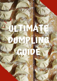 the ultimate dumpling guide for beginners