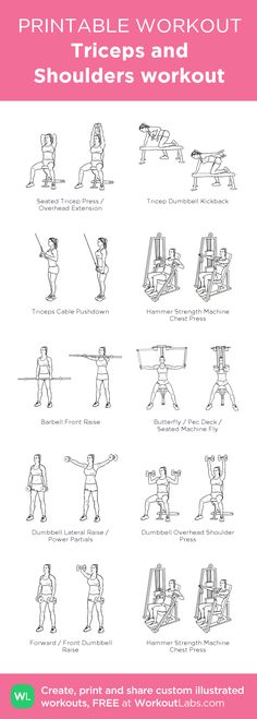 an exercise poster with instructions to do exercises for the shoulders and arms, including squats